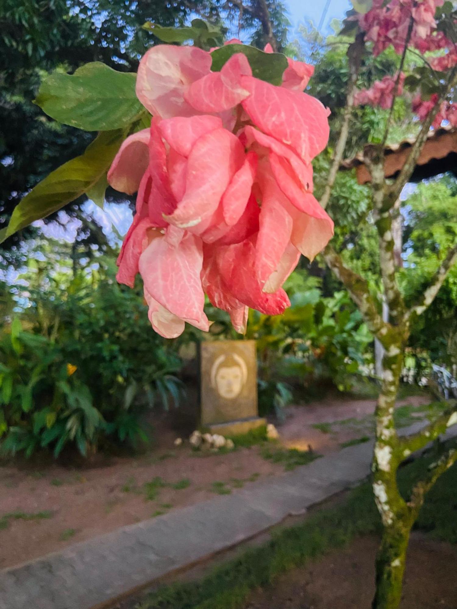 Pousada Coco Dende Velha Boipeba Exterior foto